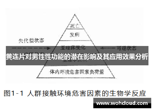 黄连片对男性性功能的潜在影响及其应用效果分析